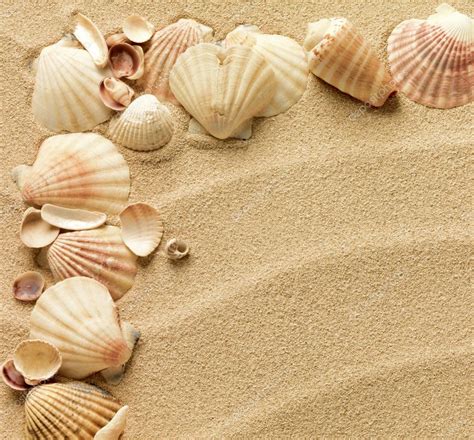 Sea Shells With Sand As Background — Stock Photo © Smaglov 7676973