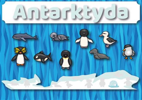 Zwierzęta Antarktydy Materiały do wydrukowania czaryzdrukary pl