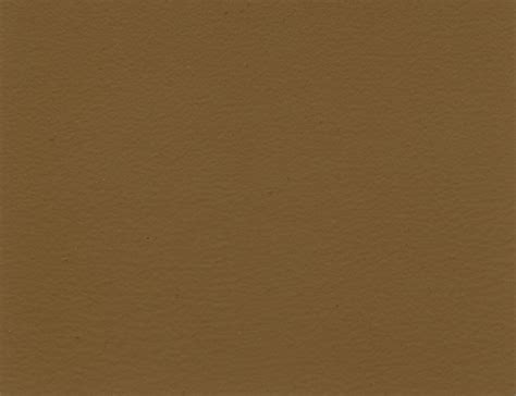 Mocha Color Paint Imgkid Com The Image Kid Has It Effy Moom Free Coloring Picture wallpaper give a chance to color on the wall without getting in trouble! Fill the walls of your home or office with stress-relieving [effymoom.blogspot.com]