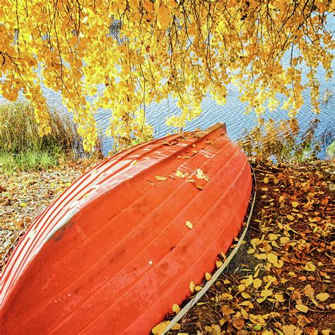 A Boat Covered With Autumn Leaves By Sami Hurmerinta