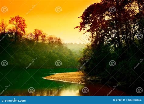 Sunset In Jungle Stock Image Image Of Cascade Bamboo 8789101