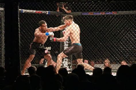 ‘mayhem In Mesquite Xiv A Memorable Night Of Action For Mma Fight Fans