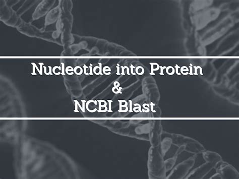 How To Convert Nucleotide Sequence Into Protein And Perform Blast On It