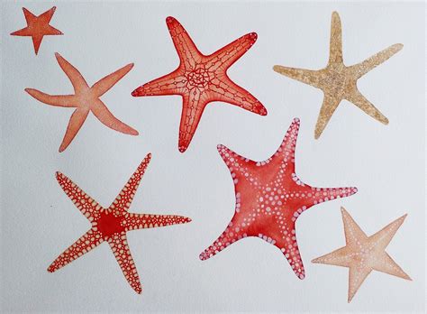 Cloudyart Starfish Painting