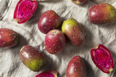 what is prickly pear all about this sweet fruit martha stewart