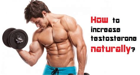 5 Ways To Increase Your Testosterone And Improve Your Sex Drive