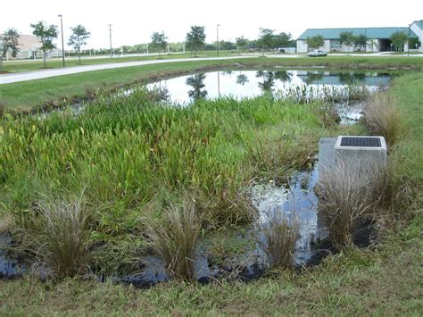 A detention pond that remains dry during dry weather flow conditions. Wet Detention Ponds