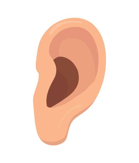 Earlobe Stock Illustrations Royalty Free Vector Graphics And Clip Art
