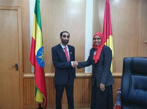 The mod determines strategic interests within the. Ethiopia's Defence Minister receives UAE Ambassador ...