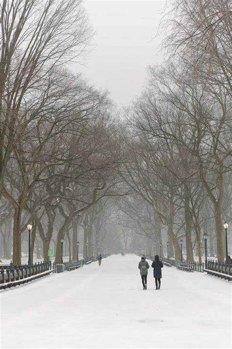 Photo Essays Snow In Central Park York Avenue