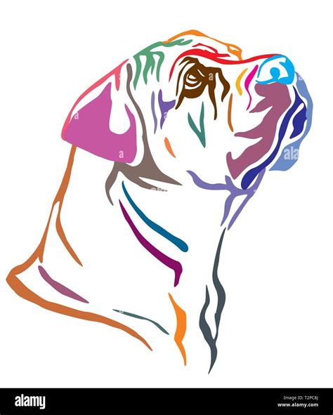 Colorful Decorative Outline Portrait Of Boerboel Dog Looking In Profile