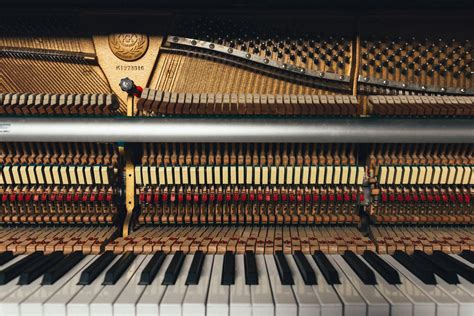 Qué Sabemos Y Por Qué Estudiamos En El Piano A Pischna Pianosistema