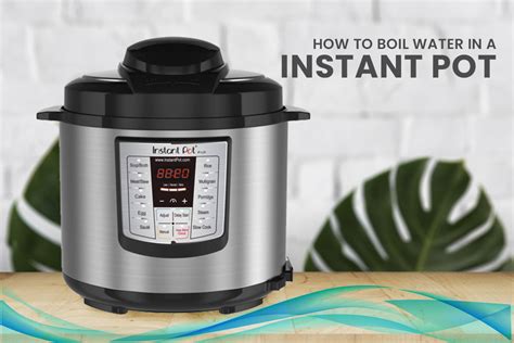 How To Boil Water In An Instant Pot Updated 2024