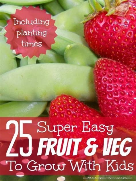 Best Fruit And Vegetables To Grow With Kids Mums Make Lists