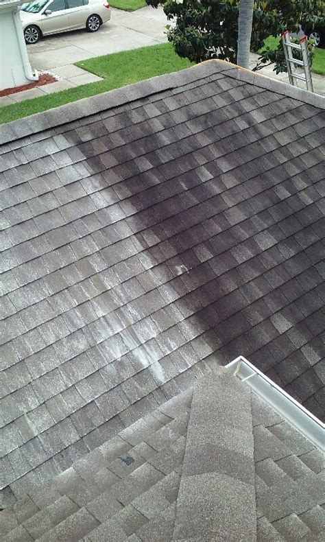 Why Roof Cleaning Is Important Renew And Restore