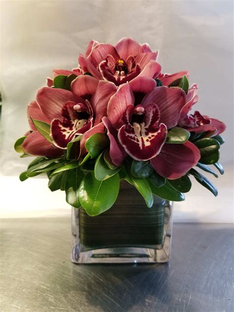 cymbidium orchids arrangement by citywide florist in New York, NY | City Wide Flower Plants