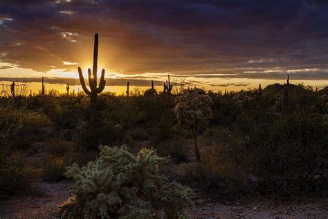 Sunset On The Sonoran Horizon Photograph By Saija Lehtonen Fine Art