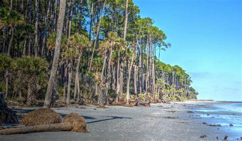 Lowcountry Experiences That Last A Lifetime