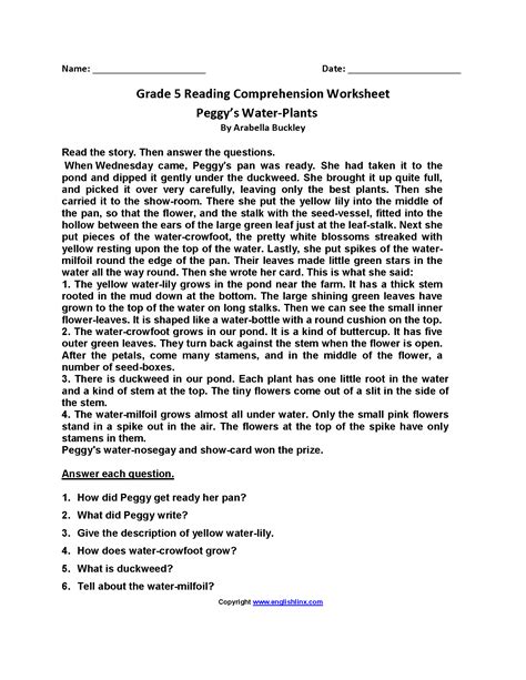 5th Grade Free Printable 5th Grade Reading Comprehension Worksheets