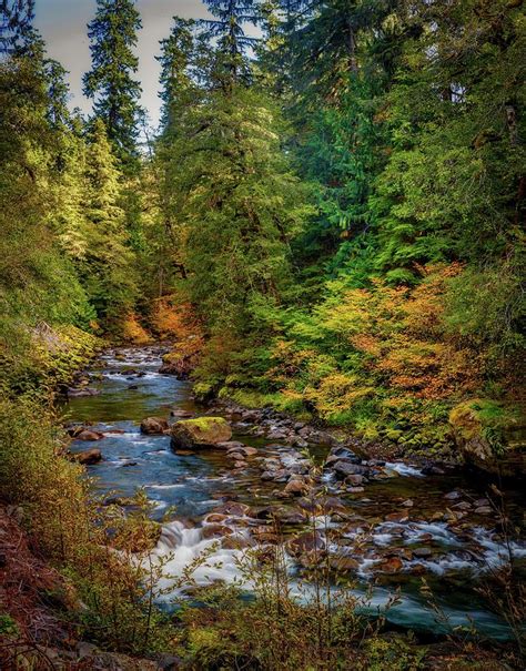 Sol Duc River 26 Photograph By Mike Penney Fine Art America