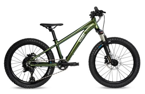 9 Best 20 Inch Mountain Bikes For Girls And Boys We Tested Every Bike