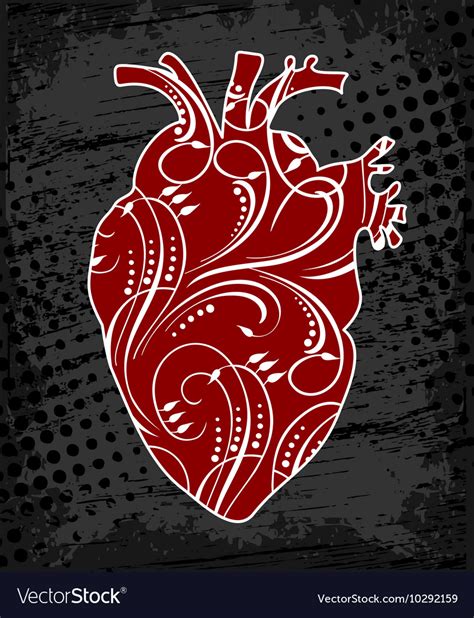 Anatomical Floral Human Heart Royalty Free Vector Image 19635 The