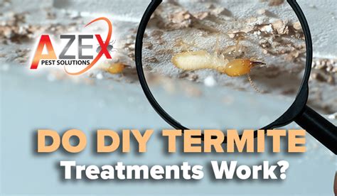Do Diy Termite Treatments Work Azex Pest Solutions