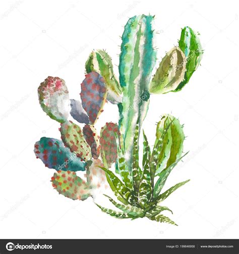 Set Of Watercolor Cactus Succulents And Floral Elements Vintage
