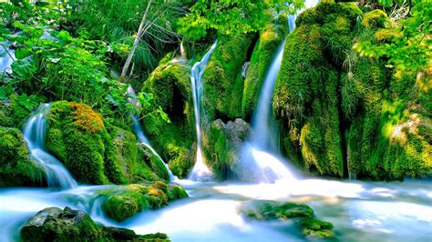 Waterfalls Stream In Between Algae Covered Rocks Green Trees Bushes