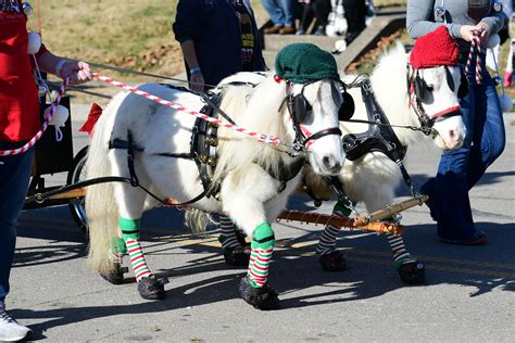 Lebanon Christmas Carriage Parade Delivers Horse Drawn Holiday Spirit