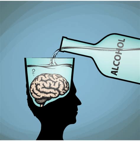 Your Brain On Alcohol How Much Is Too Much Neurogrow