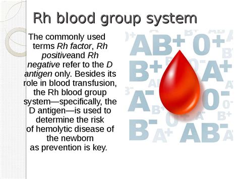 Blood Type презентация доклад проект