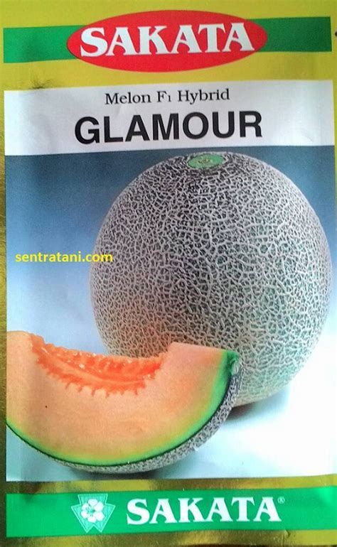 jual bibit melon glamour  hybrid    sentratanicom