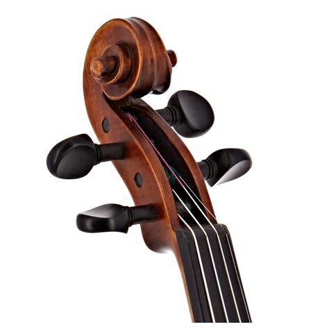 Stentor Messina Violin Full Size Instrument Only At Gear4music