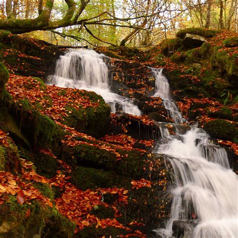 Top 10 Autumn Walks Scotland