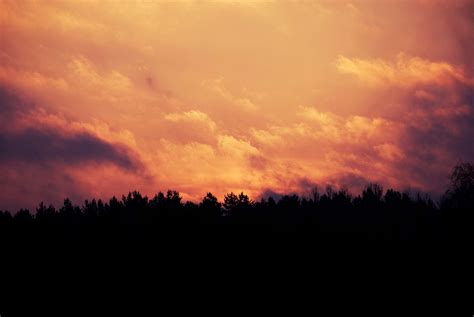 3840x2571 Clouds Forest Sun Sunrise Sunset Trees 4k Wallpaper