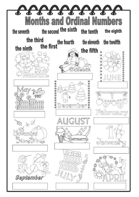 Months And Ordinal Numbers Interactive Worksheet Ordinal Numbers