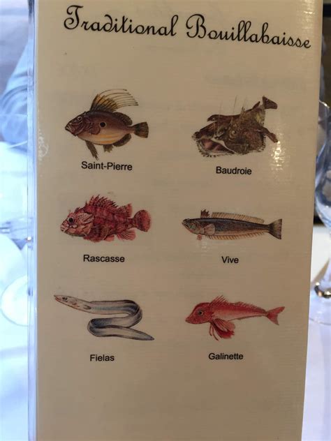 Different types of fish used for Bouillabaisse. | Types of fish, Fish, Different types