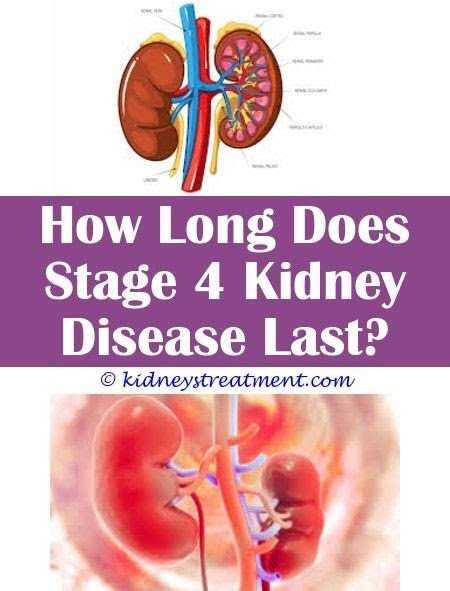 What Is Stage Four Kidney Failure