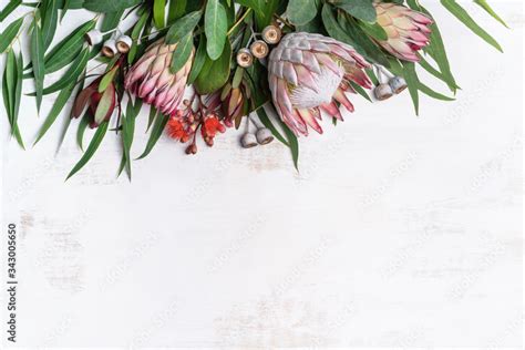 Beautiful Pink King Protea Surrounded By Pink Ice Proteas