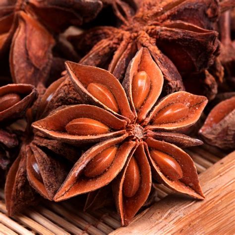 Heat the oil in a large skillet. Dried Aniseed - Monica M Investment