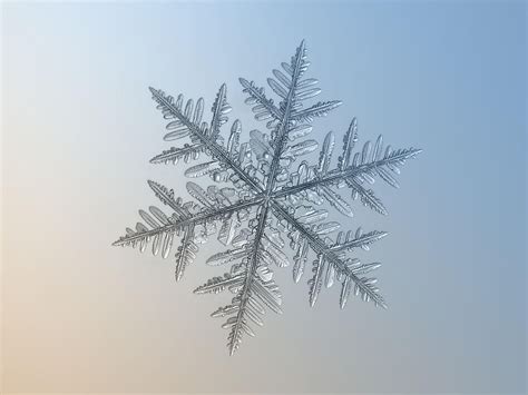Silverware Real Snowflake Macro Photo By Alexey Kljatov Photo