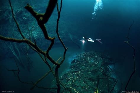 Underwater River Is A Scuba Divers Dream Cenote Angelita Mexico Huffpost Life