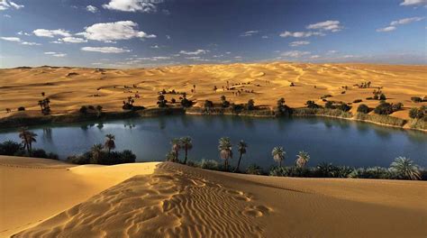 Bahariya Oasis And Siwa Desert Kemet Experience