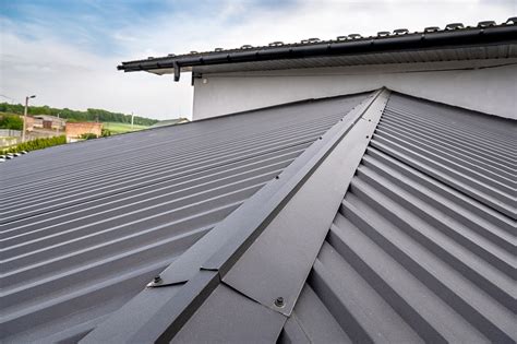 Types Of Metal Roofs Loophety