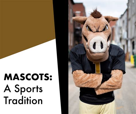 Mascots A Sports Tradition Itg Next