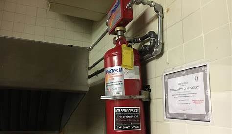 protex ii fire suppression system manual