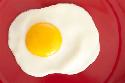 Free Stock Photo Of Fried Egg On A Plate Stockmediacc