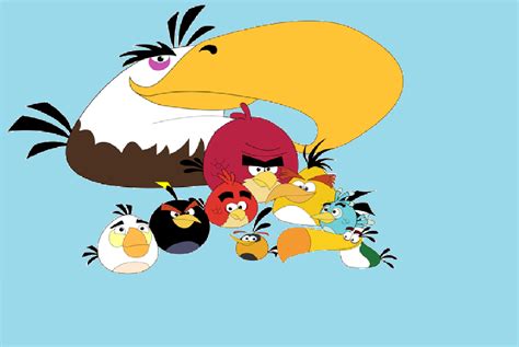 Imagen Pajarospng Angry Birds Wiki Fandom Powered By Wikia