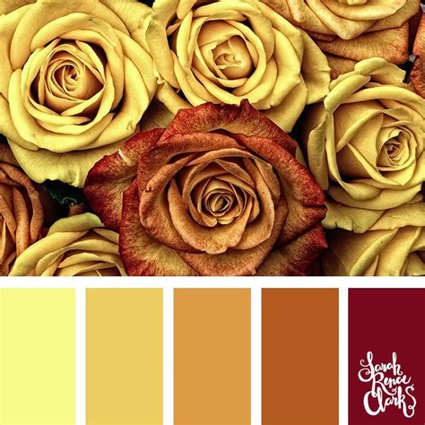 vintage color inspiration 25 color palettes inspired by the pantone color trend predictions